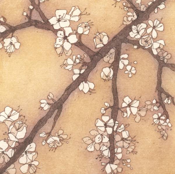 - a , Print by Chrissy Norman, measuring 11 x 11 cm (H x W) framed at 30 x 30 cm £115